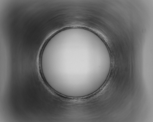 X0000102280990200807250937