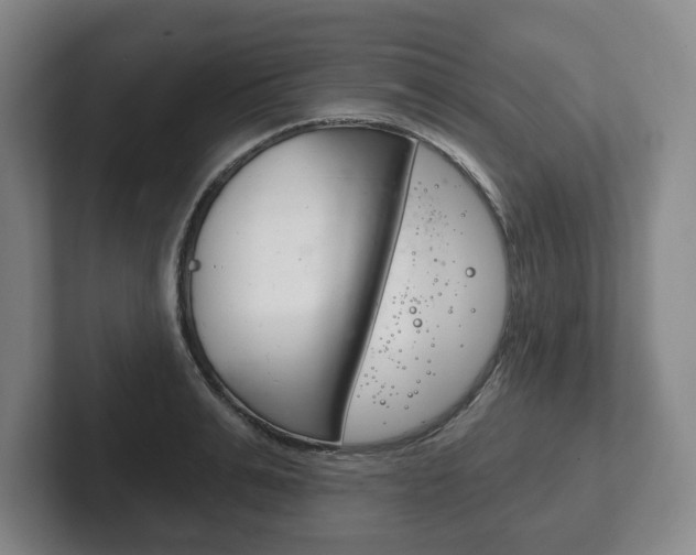 X0000102280991200807250937