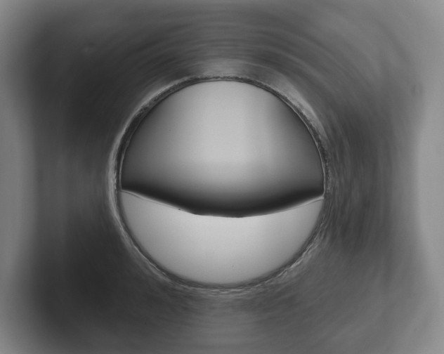 X0000102280992200807250937