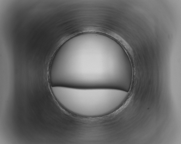 X0000102280993200807250937