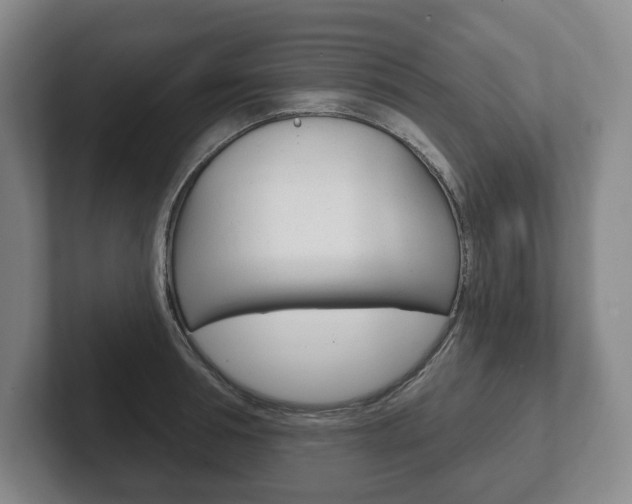 X0000102280994200807250937