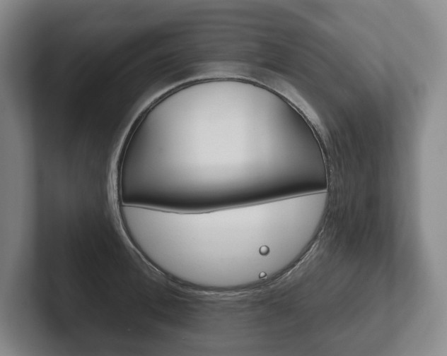 X0000102280996200807250937