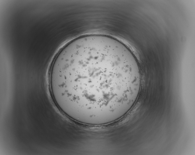 X0000102280998200807250937