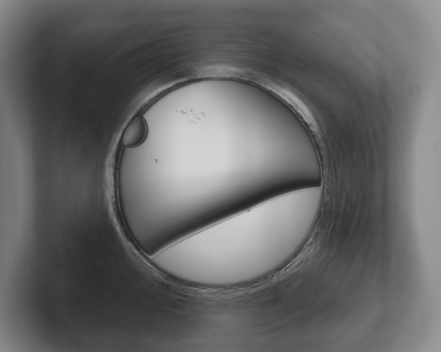 X0000102281000200807250937