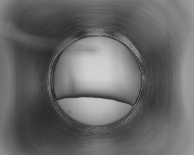 X0000102281002200807250937