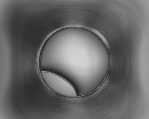 X0000102281004200807250937