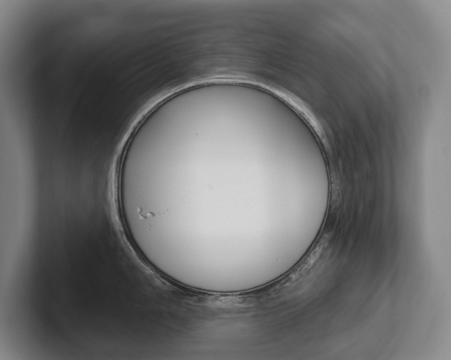 X0000102281006200807250937