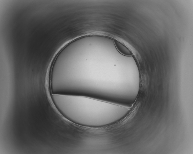 X0000102281007200807250937