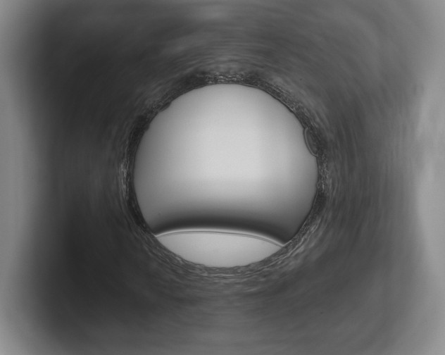 X0000102281010200807250937