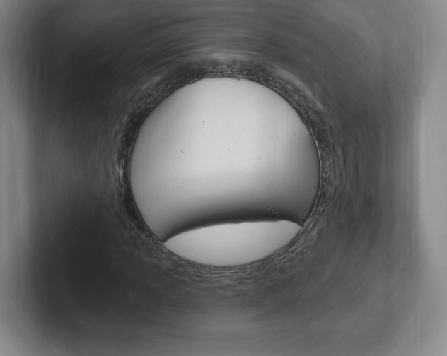 X0000102281013200807250937