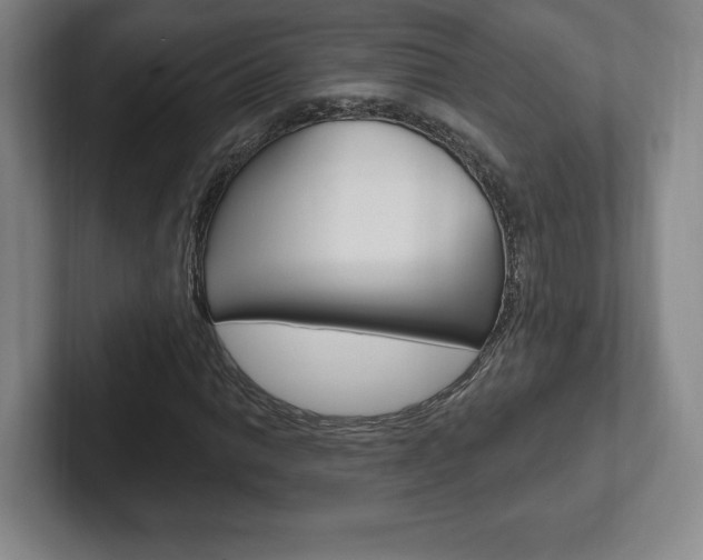 X0000102281014200807250937