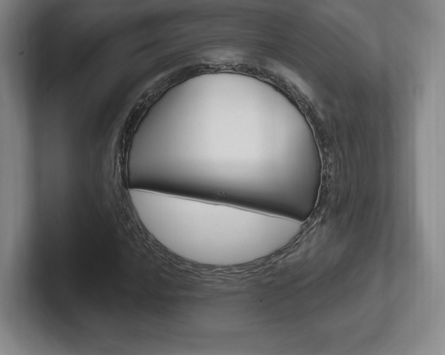 X0000102281016200807250937