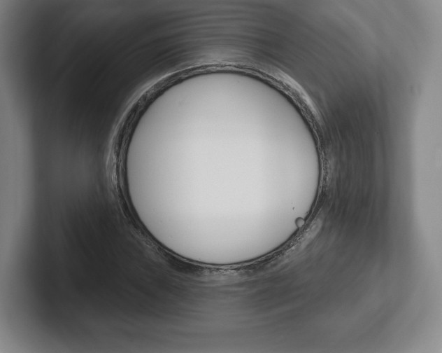 X0000102281019200807250937