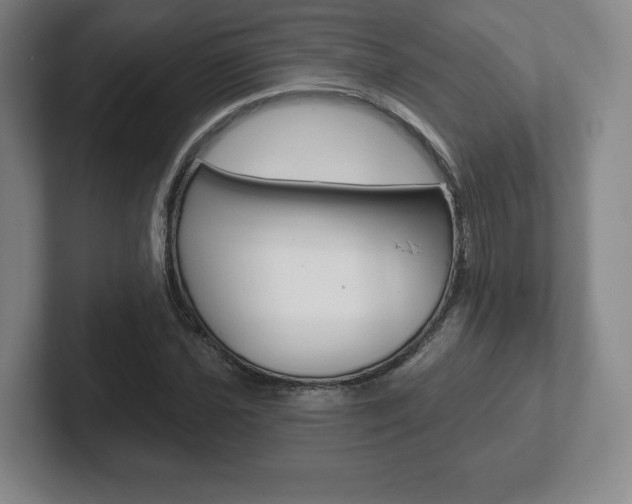 X0000102281021200807250937