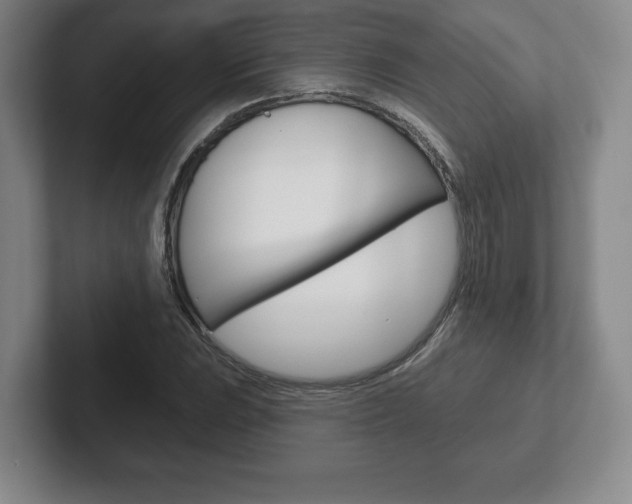 X0000102281023200807250937