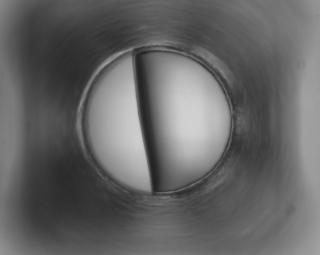X0000102281024200807250937