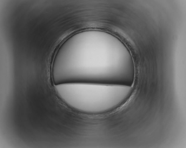 X0000102281025200807250937
