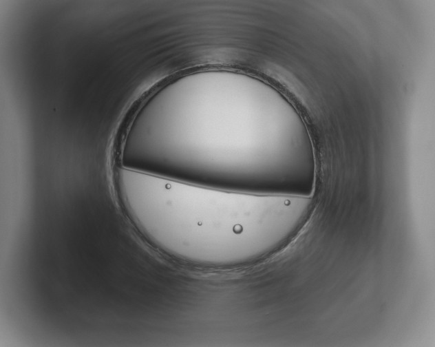 X0000102281026200807250937