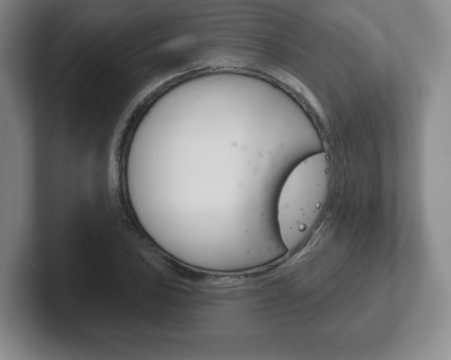 X0000102281027200807250937