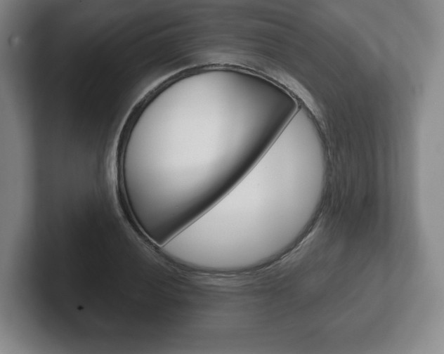 X0000102281028200807250937