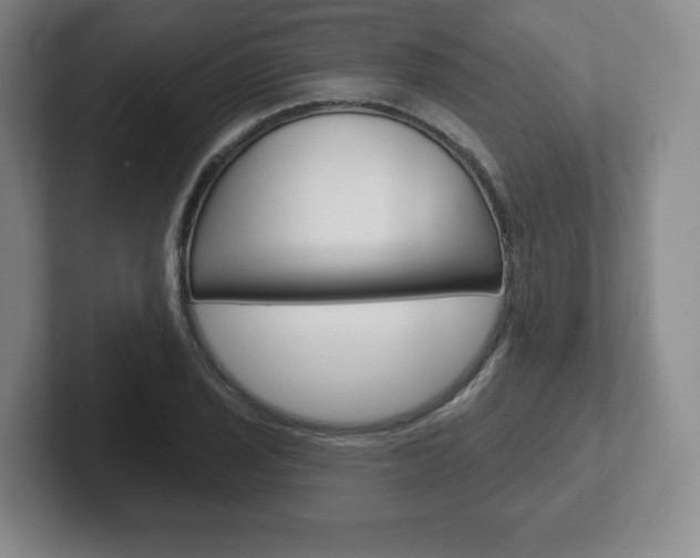 X0000102281029200807250937
