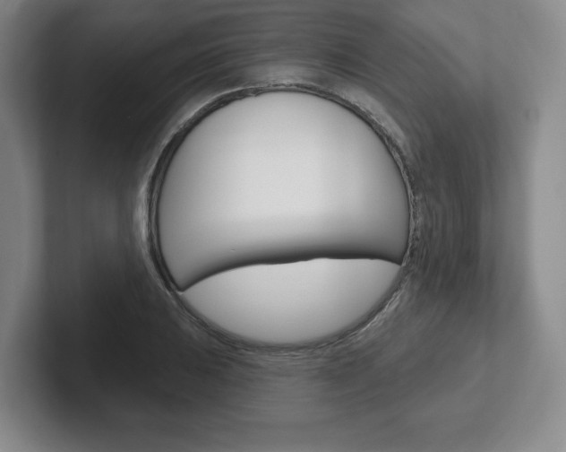 X0000102281031200807250937