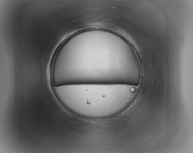 X0000102281032200807250937