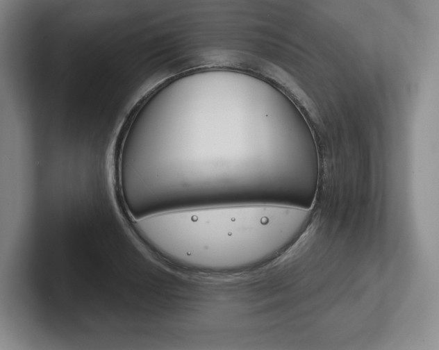 X0000102281034200807250937