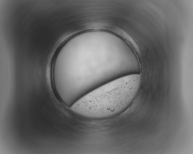 X0000102281035200807250937