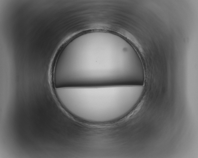 X0000102281037200807250937