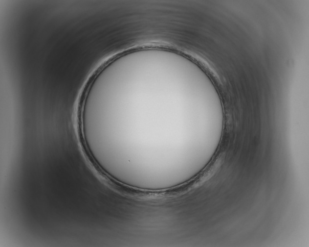 X0000102281038200807250937