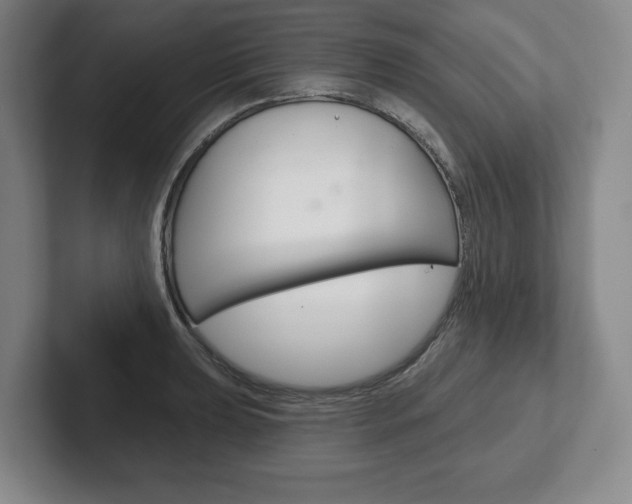 X0000102281039200807250937