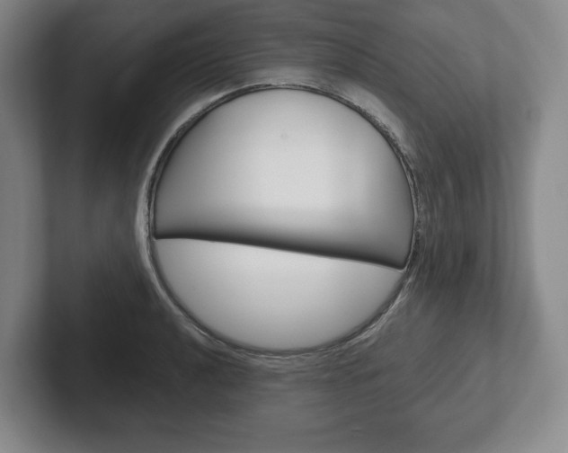 X0000102281040200807250937