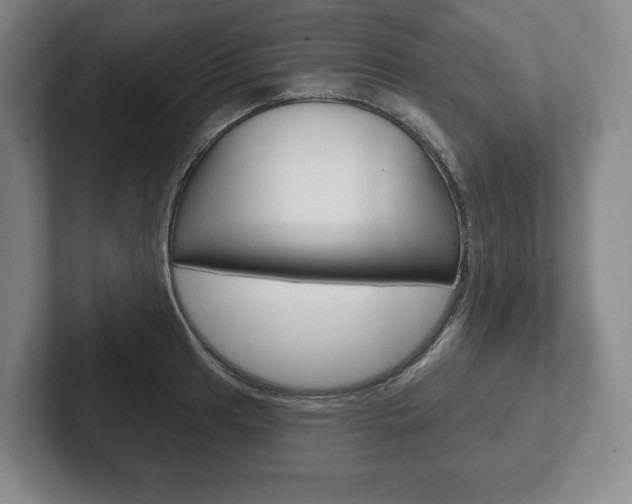 X0000102281041200807250937