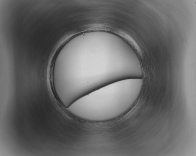X0000102281043200807250937