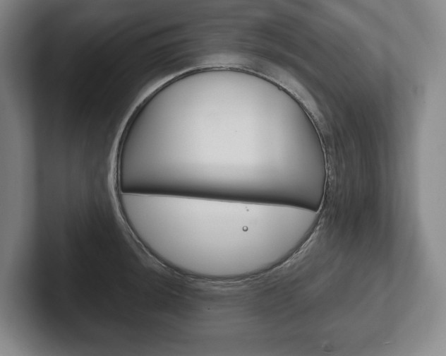 X0000102281044200807250937