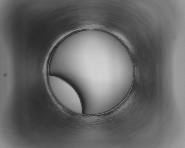 X0000102281046200807250937
