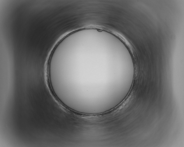 X0000102281048200807250937