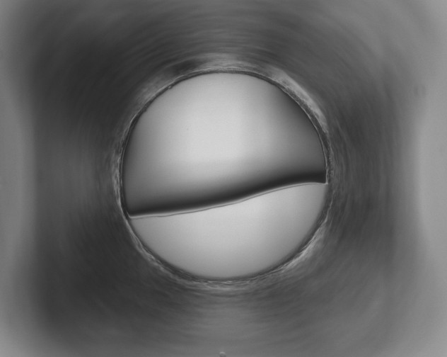 X0000102281049200807250937