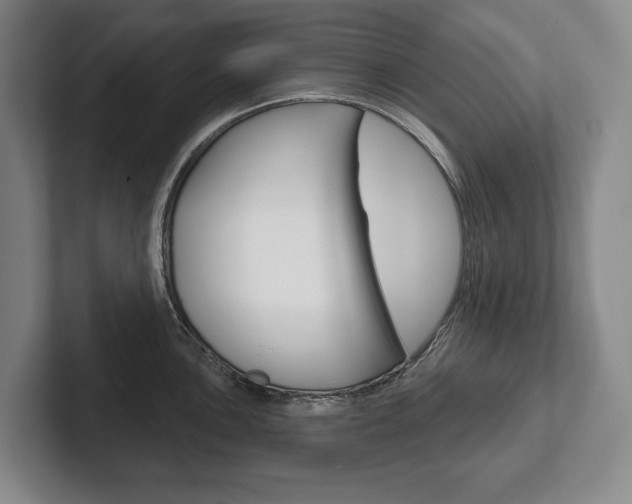 X0000102281051200807250937