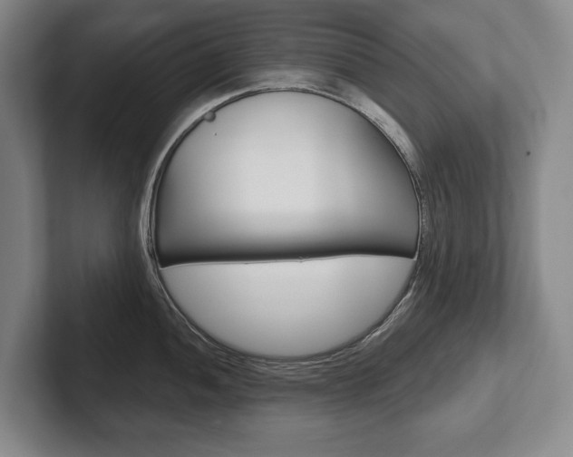 X0000102281052200807250937