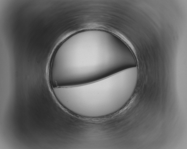 X0000102281053200807250937