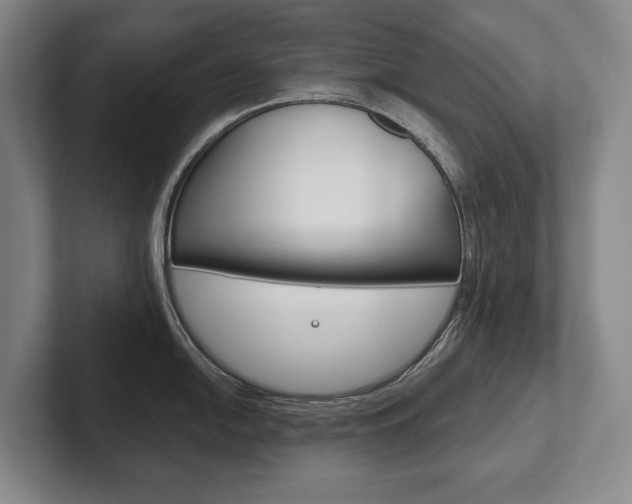 X0000102281054200807250937