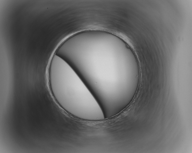 X0000102281056200807250937