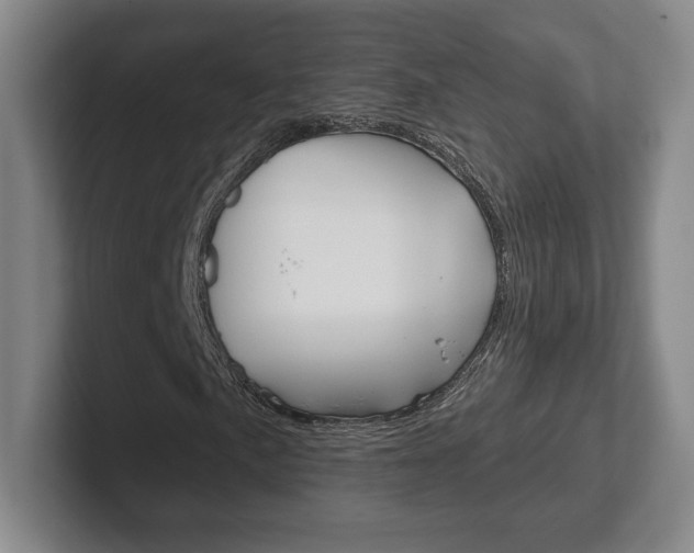 X0000102281057200807250937