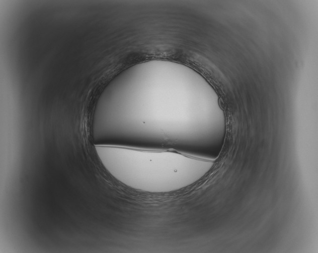 X0000102281058200807250936