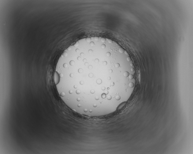 X0000102281059200807250936