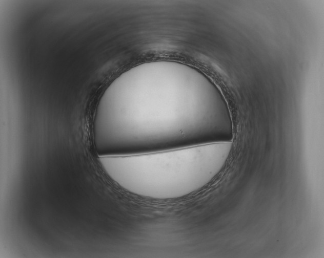X0000102281062200807250936