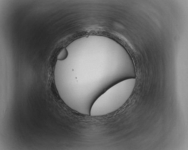 X0000102281063200807250936