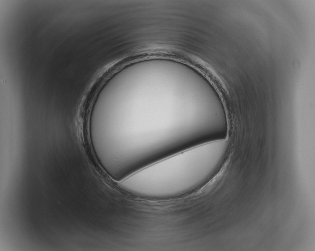 X0000102281066200807250936